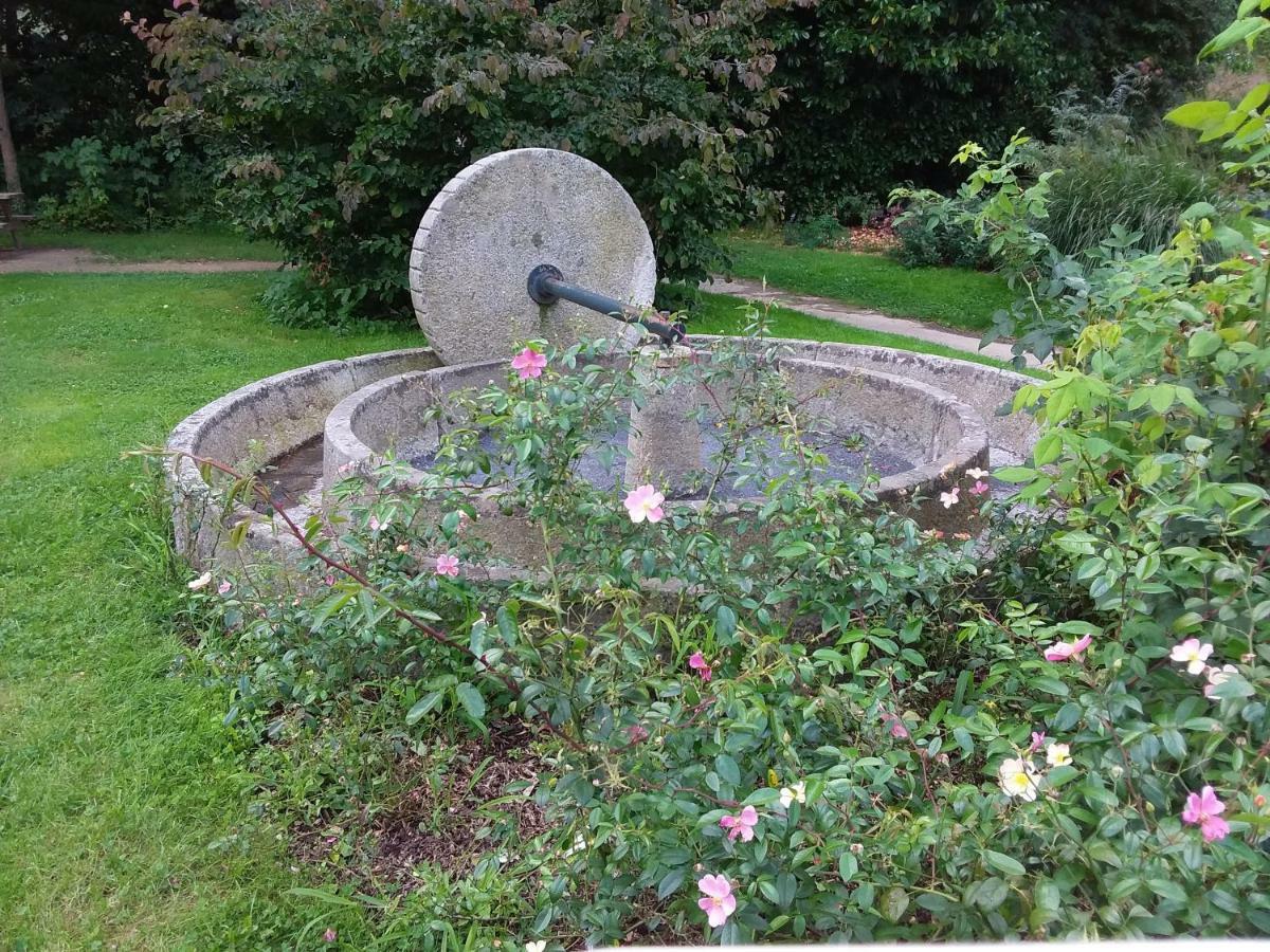 L'Orchidee Villa Lassay-les-Chateaux Eksteriør bilde