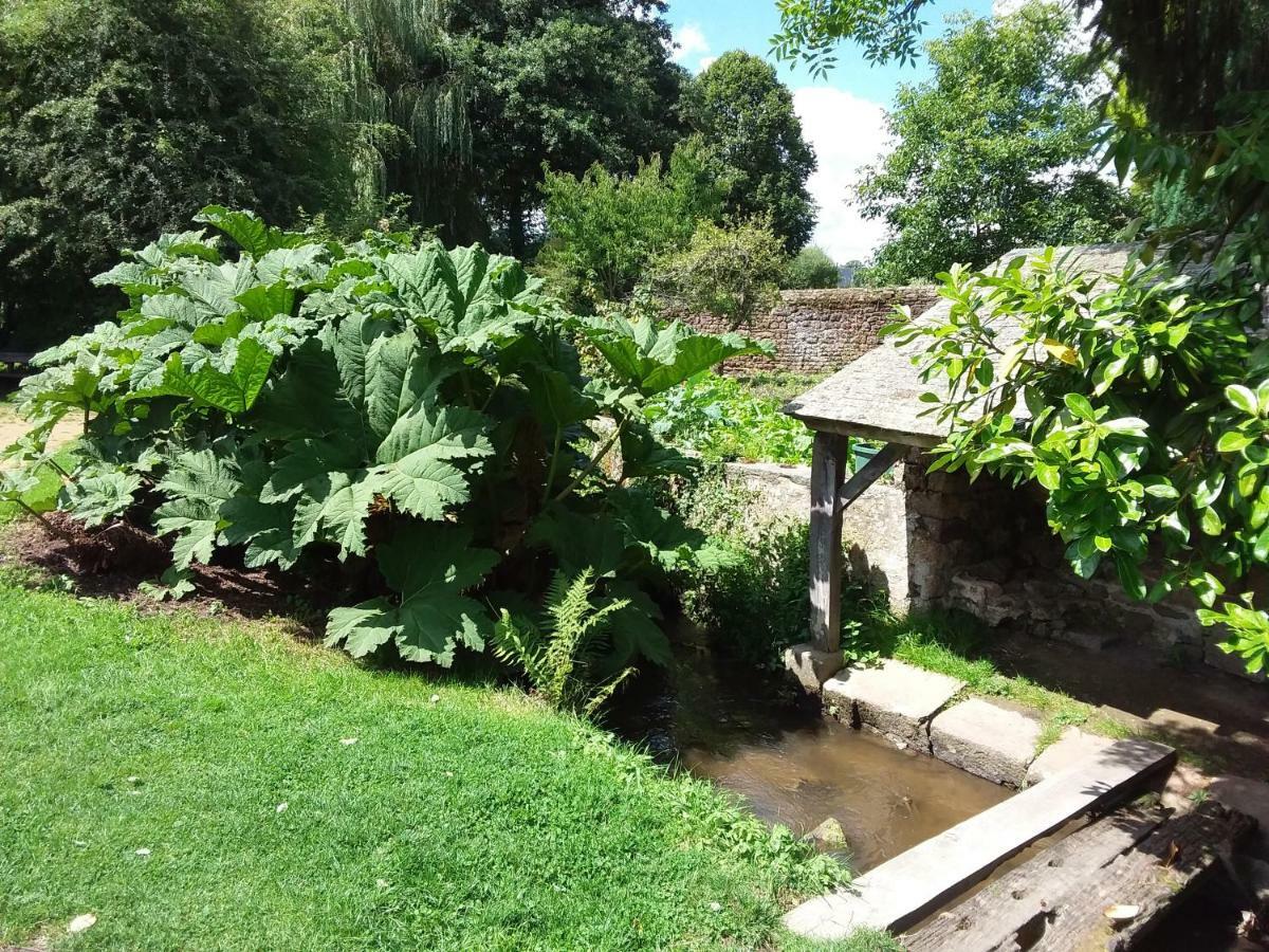 L'Orchidee Villa Lassay-les-Chateaux Eksteriør bilde